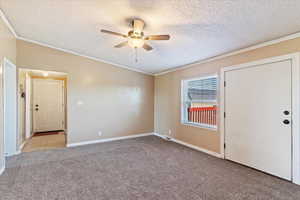Spare room featuring crown molding, light colored carpet, a ceiling fan, and a textured ceiling