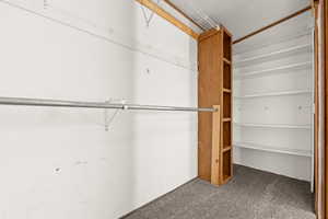 Walk in closet featuring carpet