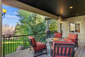 Wooden terrace with a lawn