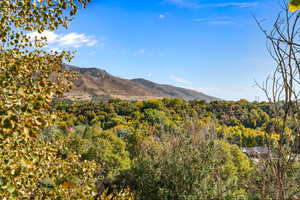 Mountain view featuring a forest