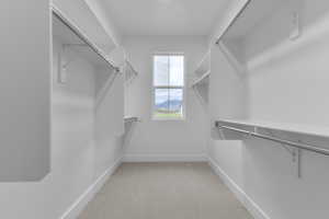 Spacious closet featuring light carpet