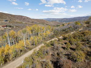 View of mountain background with a forest