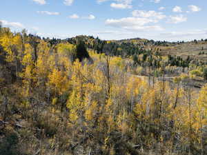 View of mountain background