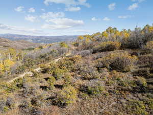 View of mountain background with a heavily wooded area