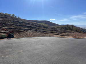 View from the street looking South at lot 1404.