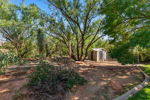 View of yard with a storage unit