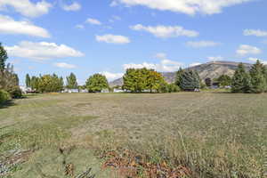 View of green lawn with a mountain view and a view of rural / pastoral area