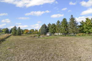 View of yard featuring a view of rural / pastoral area and view of scattered trees