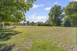 View of yard with a rural view and view of scattered trees