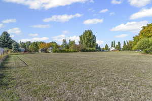 View of yard featuring a view of rural / pastoral area