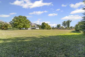 View of grassy yard with a mountain view and a view of rural / pastoral area