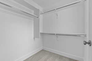 Spacious closet with light carpet