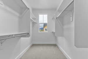 Walk in closet with light colored carpet