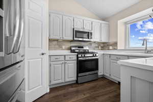 Kitchen with stainless steel appliances, lofted ceiling, light countertops, white cabinetry, and dark wood-style flooring