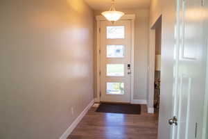 Foyer with plenty of natural light and dark wood-style flooring