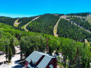 View of subject property with a forest and a mountain backdrop