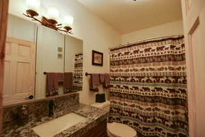 Bathroom with vanity and a shower with shower curtain