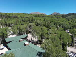 Drone / aerial view of a forest and a mountain backdrop