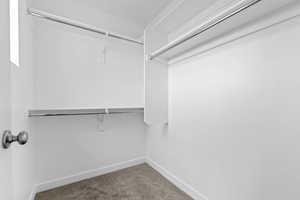 Spacious closet featuring carpet flooring