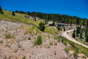 Aerial view of sparsely populated area with a heavily wooded area