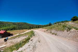 View of dirt / gravel road with a wooded view