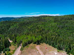 Aerial view of a heavily wooded area and a mountain backdrop