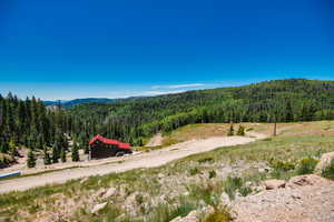 Mountain view with a forest
