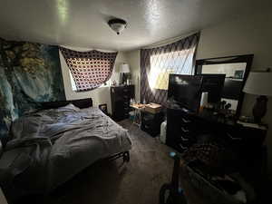 Bedroom with a textured ceiling and dark colored carpet