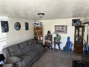 Carpeted living room featuring a textured ceiling