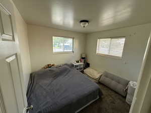 Carpeted bedroom featuring multiple windows