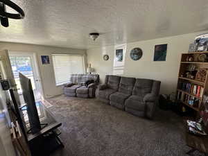 Living room featuring carpet floors and a textured ceiling