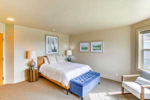 Bedroom featuring baseboards and carpet