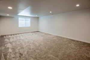 Lower level Family Room