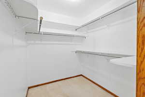 Spacious closet featuring light carpet