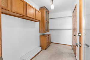 Laundry room with light carpet and baseboards