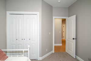 Bedroom with light carpet and a closet