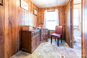 Living area with wooden walls and healthy amount of natural light