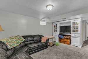 Living room featuring carpet and a textured ceiling