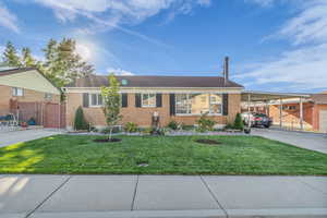 Ranch-style house featuring brick siding, a front yard, a carport, and concrete driveway
