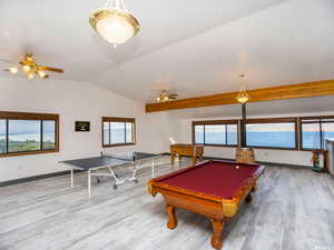 Playroom featuring plenty of natural light, wood finished floors, and billiards table
