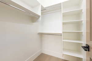 Spacious closet featuring light wood-type flooring