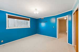Carpeted empty room featuring crown molding
