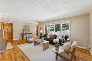 Living area featuring crown molding, light wood-type flooring, and a textured ceiling