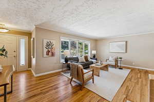 Living area with crown molding, light wood-style floors, and a textured ceiling