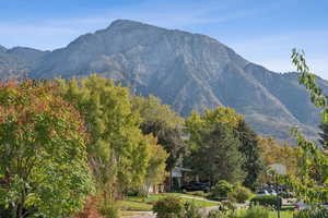 View of mountain background