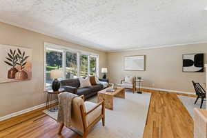 Living area with crown molding, light wood finished floors, and a textured ceiling