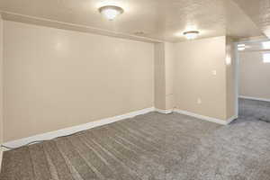 Finished basement with a textured ceiling and carpet flooring