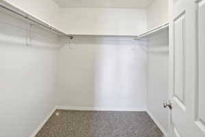 Spacious closet featuring carpet