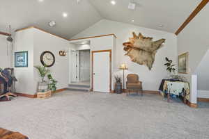 Living area with carpet floors and high vaulted ceiling