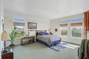 Bedroom with multiple windows and carpet